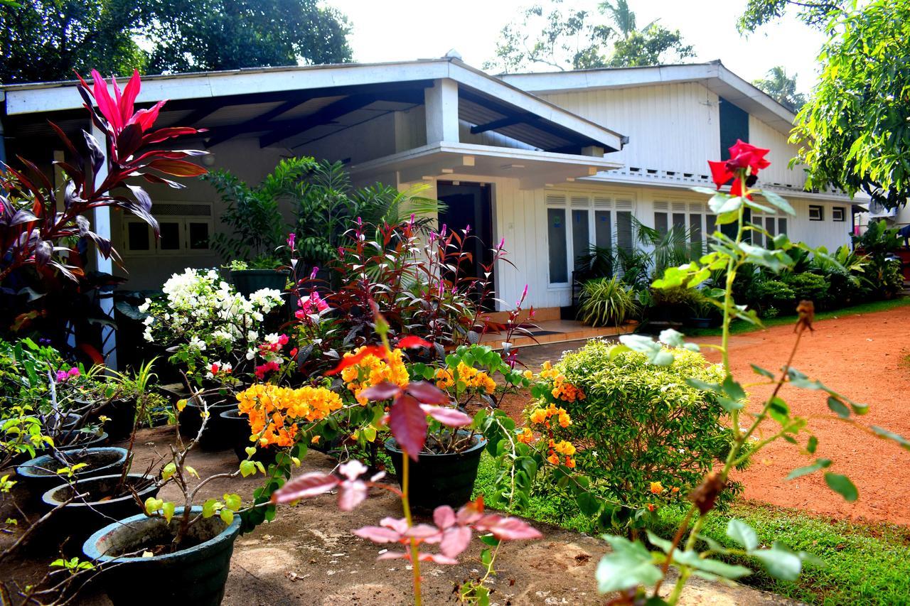 Hotel Molino Tourist Rest Anuradhapura Zewnętrze zdjęcie