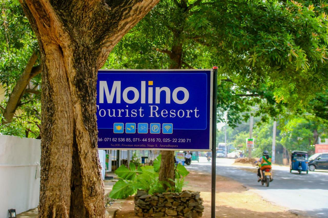 Hotel Molino Tourist Rest Anuradhapura Zewnętrze zdjęcie
